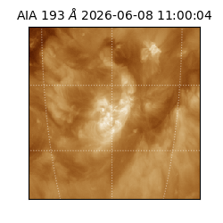 saia - 2026-06-08T11:00:04.842000