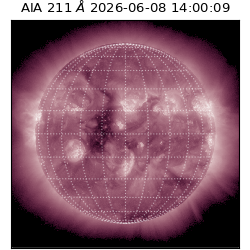 saia - 2026-06-08T14:00:09.624000