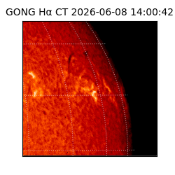 gong - 2026-06-08T14:00:42