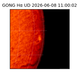 gong - 2026-06-08T11:00:02