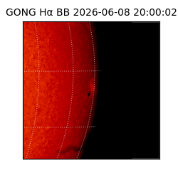 gong - 2026-06-08T20:00:02