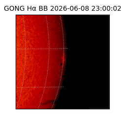 gong - 2026-06-08T23:00:02