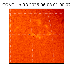 gong - 2026-06-08T01:00:02