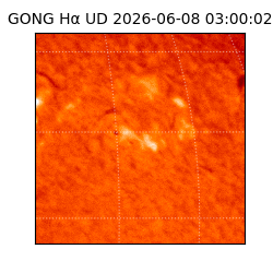 gong - 2026-06-08T03:00:02