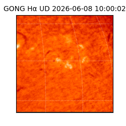 gong - 2026-06-08T10:00:02