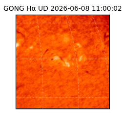 gong - 2026-06-08T11:00:02