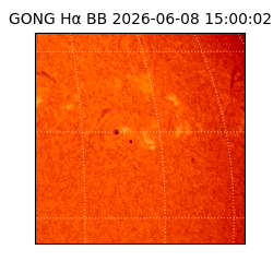 gong - 2026-06-08T15:00:02