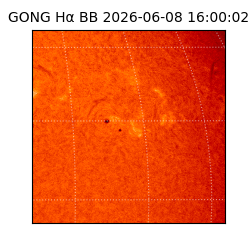 gong - 2026-06-08T16:00:02