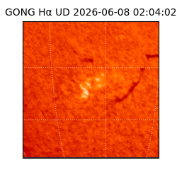 gong - 2026-06-08T02:04:02
