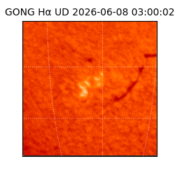 gong - 2026-06-08T03:00:02