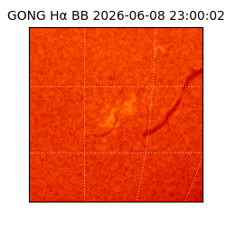 gong - 2026-06-08T23:00:02