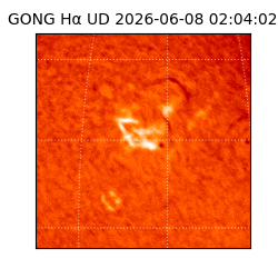 gong - 2026-06-08T02:04:02