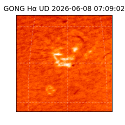 gong - 2026-06-08T07:09:02