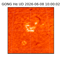 gong - 2026-06-08T10:00:02
