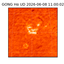 gong - 2026-06-08T11:00:02