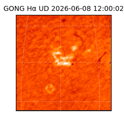 gong - 2026-06-08T12:00:02