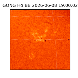 gong - 2026-06-08T19:00:02