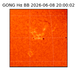 gong - 2026-06-08T20:00:02