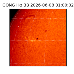 gong - 2026-06-08T01:00:02