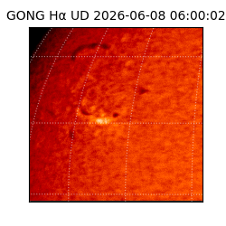 gong - 2026-06-08T06:00:02