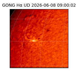 gong - 2026-06-08T09:00:02