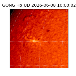 gong - 2026-06-08T10:00:02