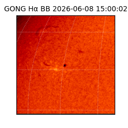 gong - 2026-06-08T15:00:02