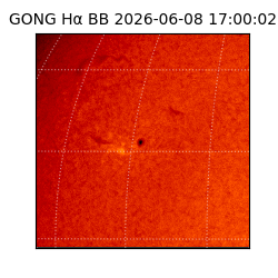 gong - 2026-06-08T17:00:02
