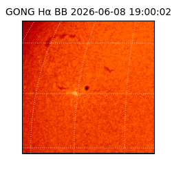 gong - 2026-06-08T19:00:02