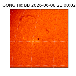 gong - 2026-06-08T21:00:02