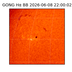 gong - 2026-06-08T22:00:02