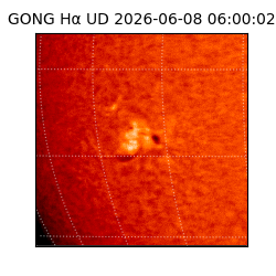 gong - 2026-06-08T06:00:02