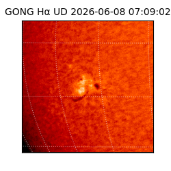 gong - 2026-06-08T07:09:02