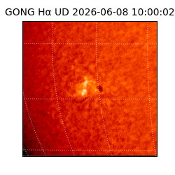 gong - 2026-06-08T10:00:02
