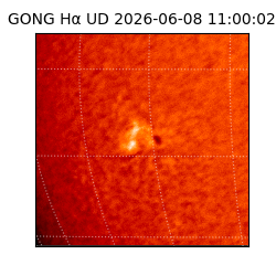 gong - 2026-06-08T11:00:02