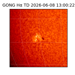 gong - 2026-06-08T13:00:22