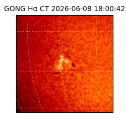gong - 2026-06-08T18:00:42