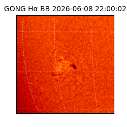 gong - 2026-06-08T22:00:02