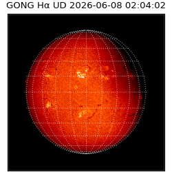 gong - 2026-06-08T02:04:02
