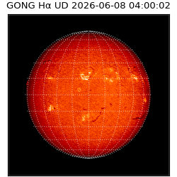 gong - 2026-06-08T04:00:02