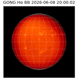 gong - 2026-06-08T20:00:02