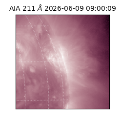 saia - 2026-06-09T09:00:09.624000