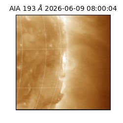 saia - 2026-06-09T08:00:04.842000