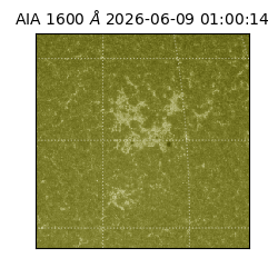 saia - 2026-06-09T01:00:14.123000