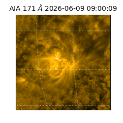 saia - 2026-06-09T09:00:09.348000