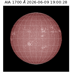 saia - 2026-06-09T19:00:28.720000