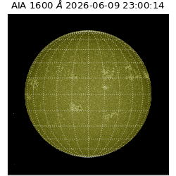 saia - 2026-06-09T23:00:14.124000