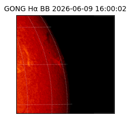 gong - 2026-06-09T16:00:02