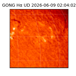 gong - 2026-06-09T02:04:02