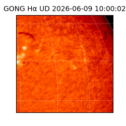 gong - 2026-06-09T10:00:02